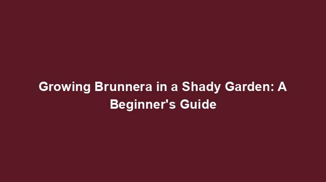 Growing Brunnera in a Shady Garden: A Beginner's Guide