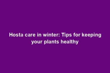 Hosta care in winter: Tips for keeping your plants healthy