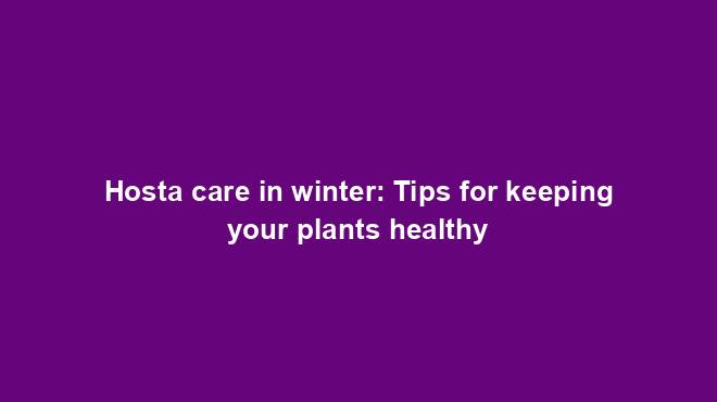 Hosta care in winter: Tips for keeping your plants healthy