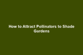 How to Attract Pollinators to Shade Gardens