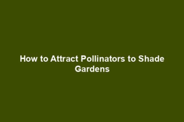 How to Attract Pollinators to Shade Gardens