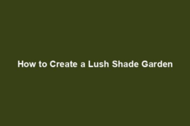 How to Create a Lush Shade Garden
