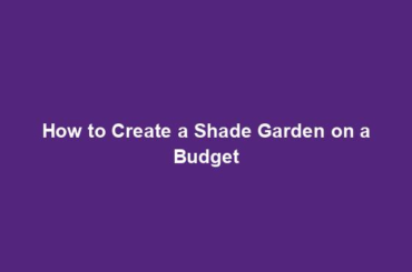 How to Create a Shade Garden on a Budget