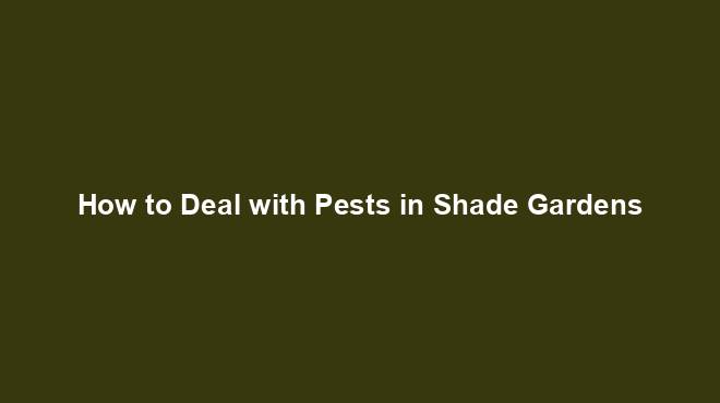 How to Deal with Pests in Shade Gardens