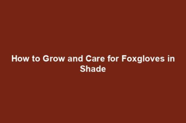 How to Grow and Care for Foxgloves in Shade