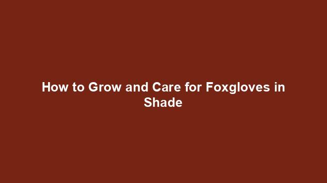 How to Grow and Care for Foxgloves in Shade