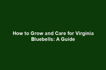 How to Grow and Care for Virginia Bluebells: A Guide