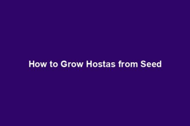 How to Grow Hostas from Seed