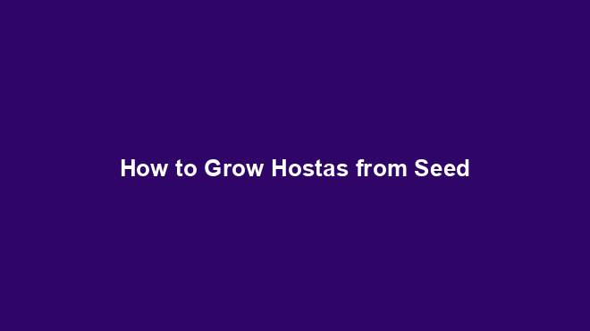How to Grow Hostas from Seed