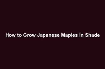 How to Grow Japanese Maples in Shade