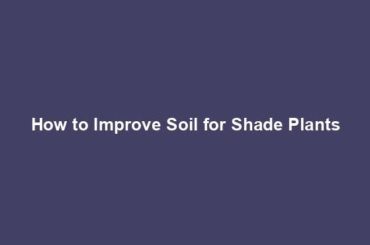 How to Improve Soil for Shade Plants