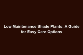 Low Maintenance Shade Plants: A Guide for Easy Care Options