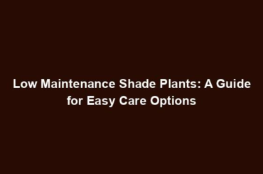 Low Maintenance Shade Plants: A Guide for Easy Care Options