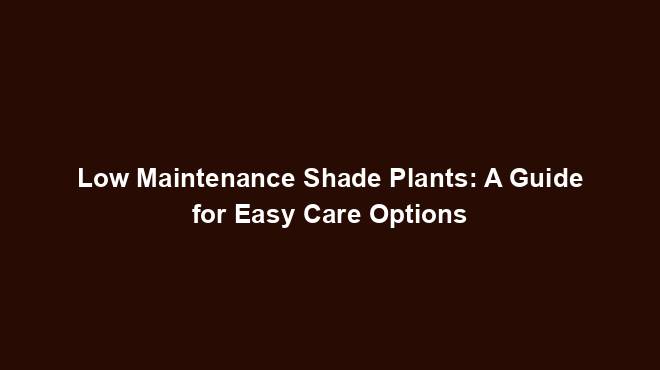 Low Maintenance Shade Plants: A Guide for Easy Care Options