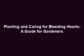 Planting and Caring for Bleeding Hearts: A Guide for Gardeners