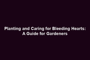 Planting and Caring for Bleeding Hearts: A Guide for Gardeners