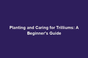 Planting and Caring for Trilliums: A Beginner's Guide