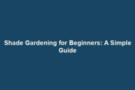 Shade Gardening for Beginners: A Simple Guide