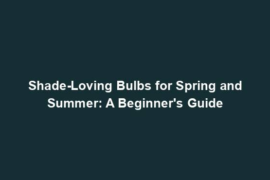 Shade-Loving Bulbs for Spring and Summer: A Beginner's Guide
