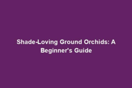 Shade-Loving Ground Orchids: A Beginner's Guide