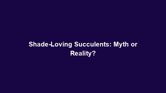 Shade-Loving Succulents: Myth or Reality?