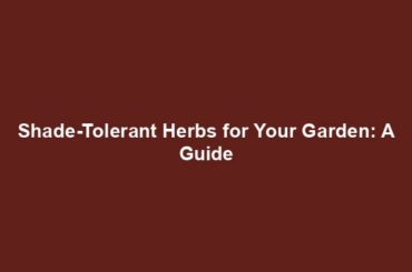 Shade-Tolerant Herbs for Your Garden: A Guide