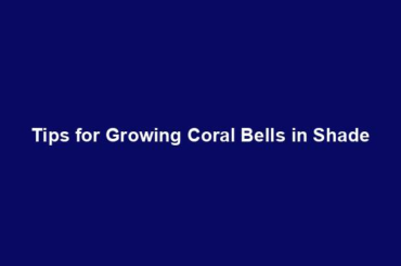 Tips for Growing Coral Bells in Shade