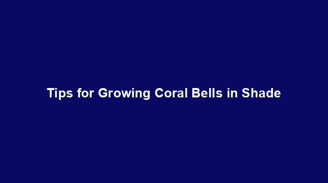 Tips for Growing Coral Bells in Shade