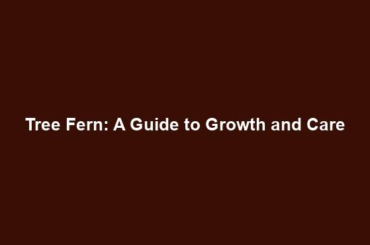 Tree Fern: A Guide to Growth and Care