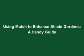 Using Mulch to Enhance Shade Gardens: A Handy Guide