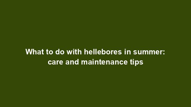What to do with hellebores in summer: care and maintenance tips